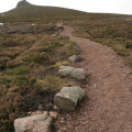 B0001290