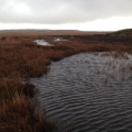 Ditch Dam5