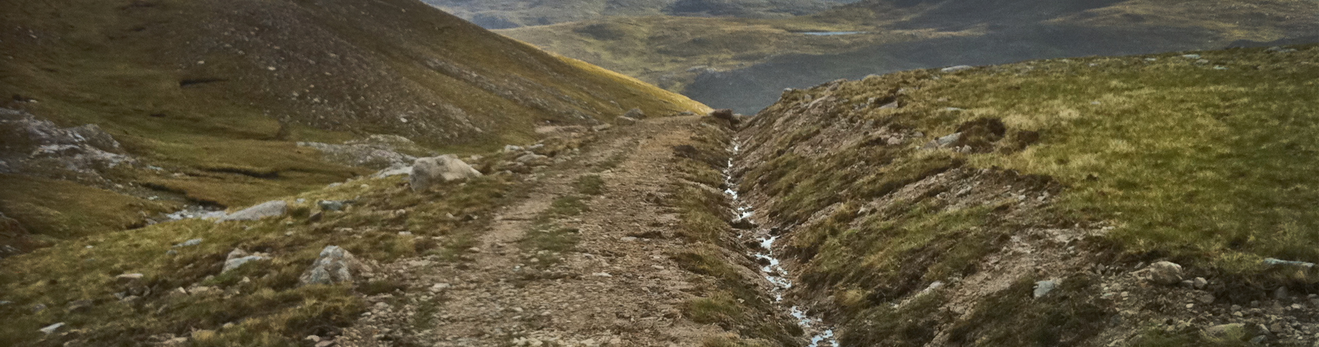 Hill Track Landscaping